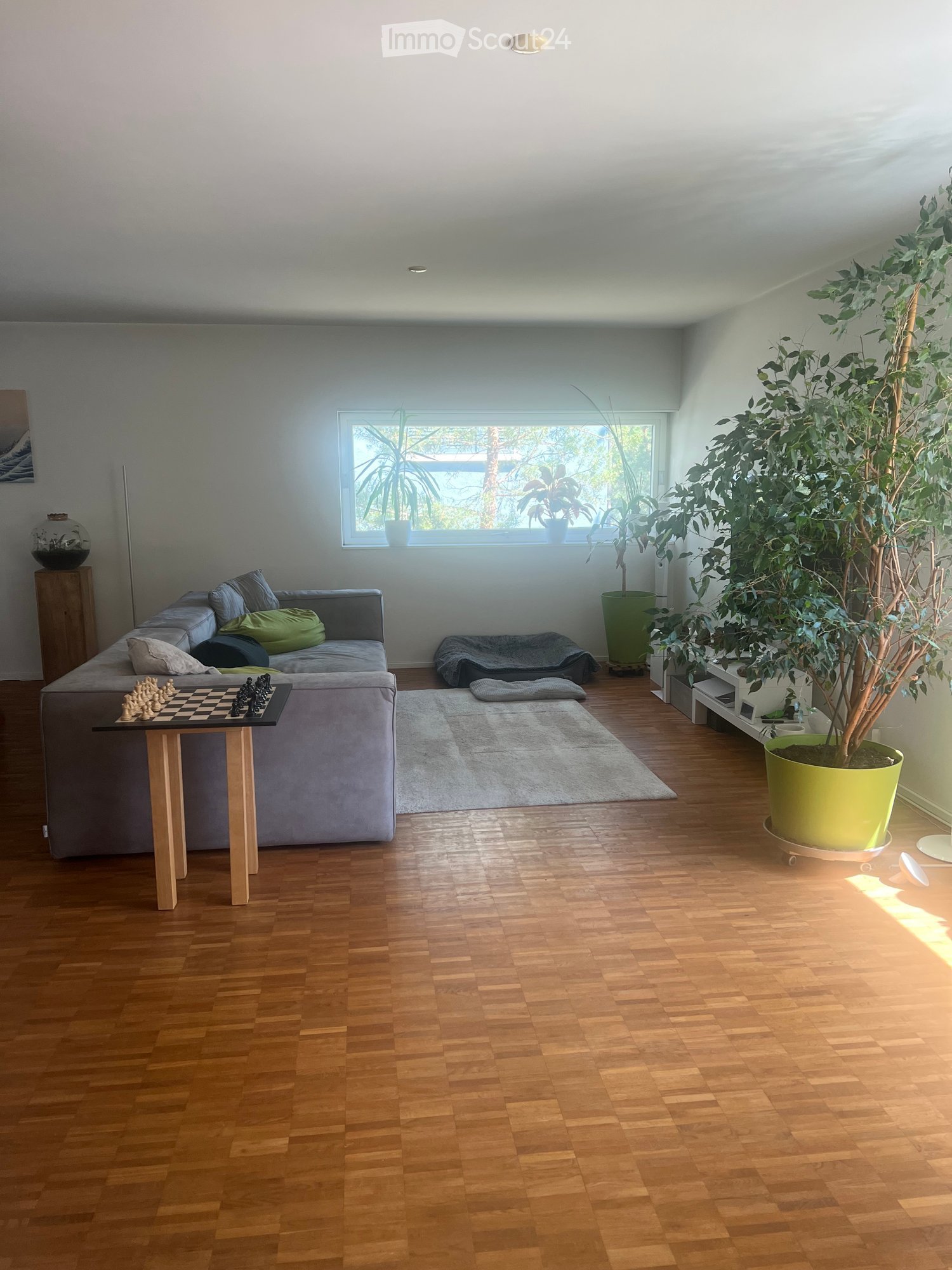 Bright living room with wooden flooring, large window, grey sofa, coffee table with chessboard, potted plants, and a rug.