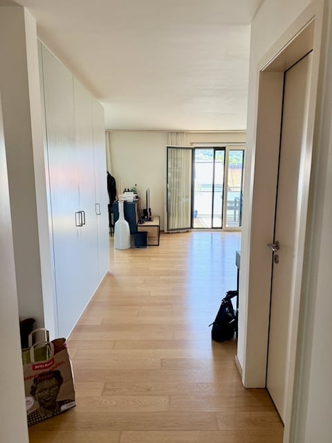 Bright hallway with wooden flooring, white walls, built-in wardrobes, and a sliding glass door leading to a balcony or outdoor area.