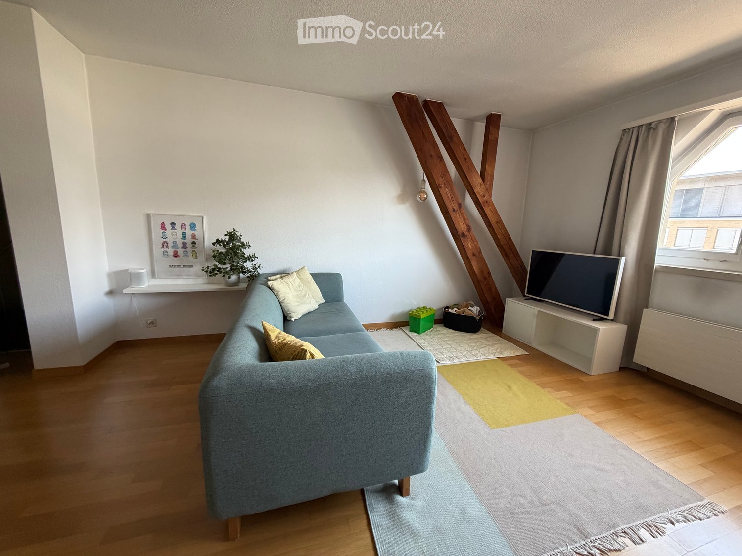 Living room with a blue sectional sofa, a television on a white stand, a small table with a plant, and a colorful rug on the wooden floor.