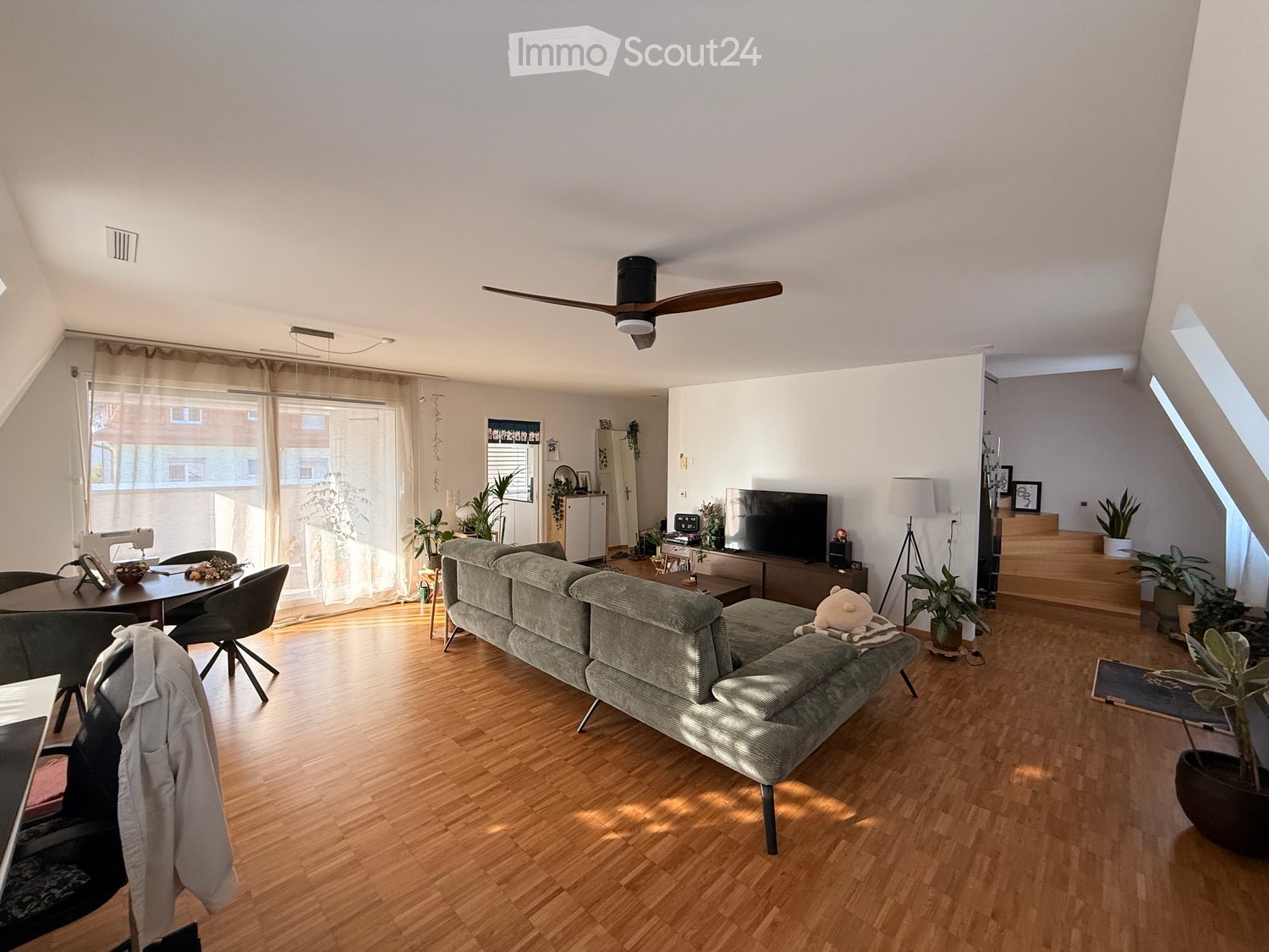 A modern living room with wooden flooring, a grey sofa, coffee table, dining area with chairs, and a TV stand with a television. There are plants and a fan in the room.