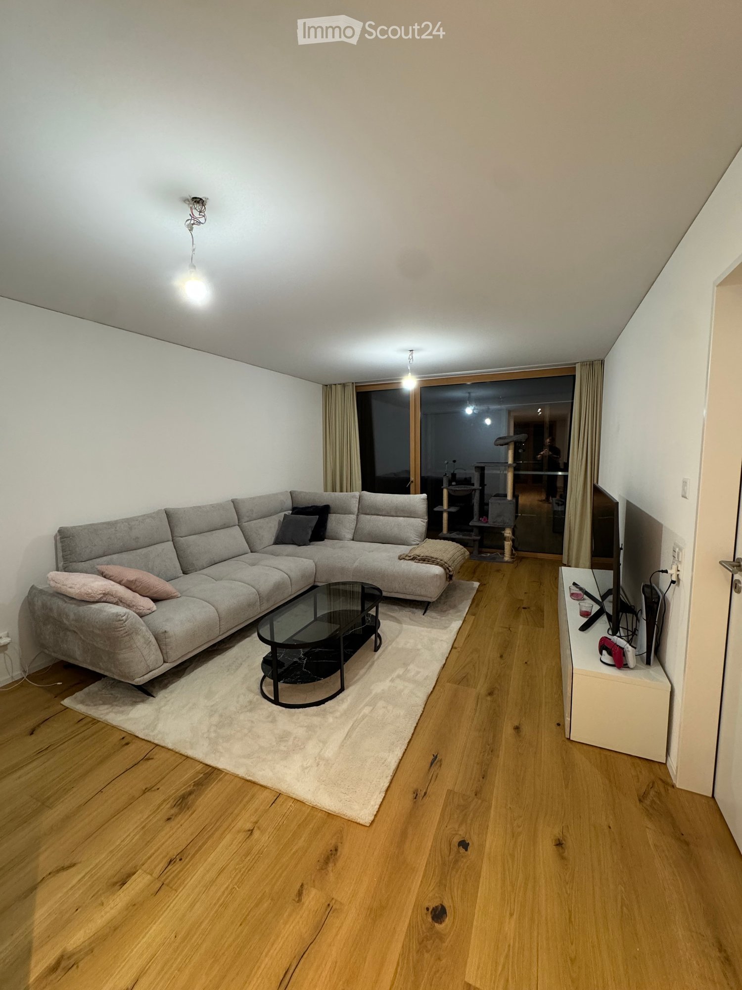 Modern living room with a grey sectional sofa, glass coffee table, TV stand, and cat tree visible through the open sliding doors.