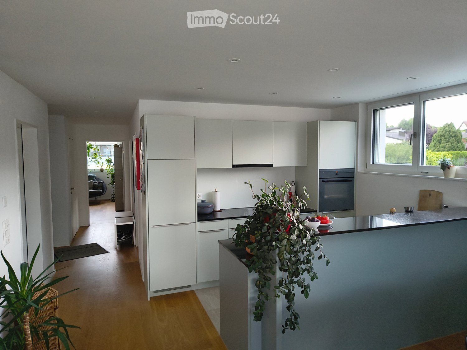 Modern kitchen with white cabinets, stainless steel appliances, and a central island with a potted plant and fruits on the counter.