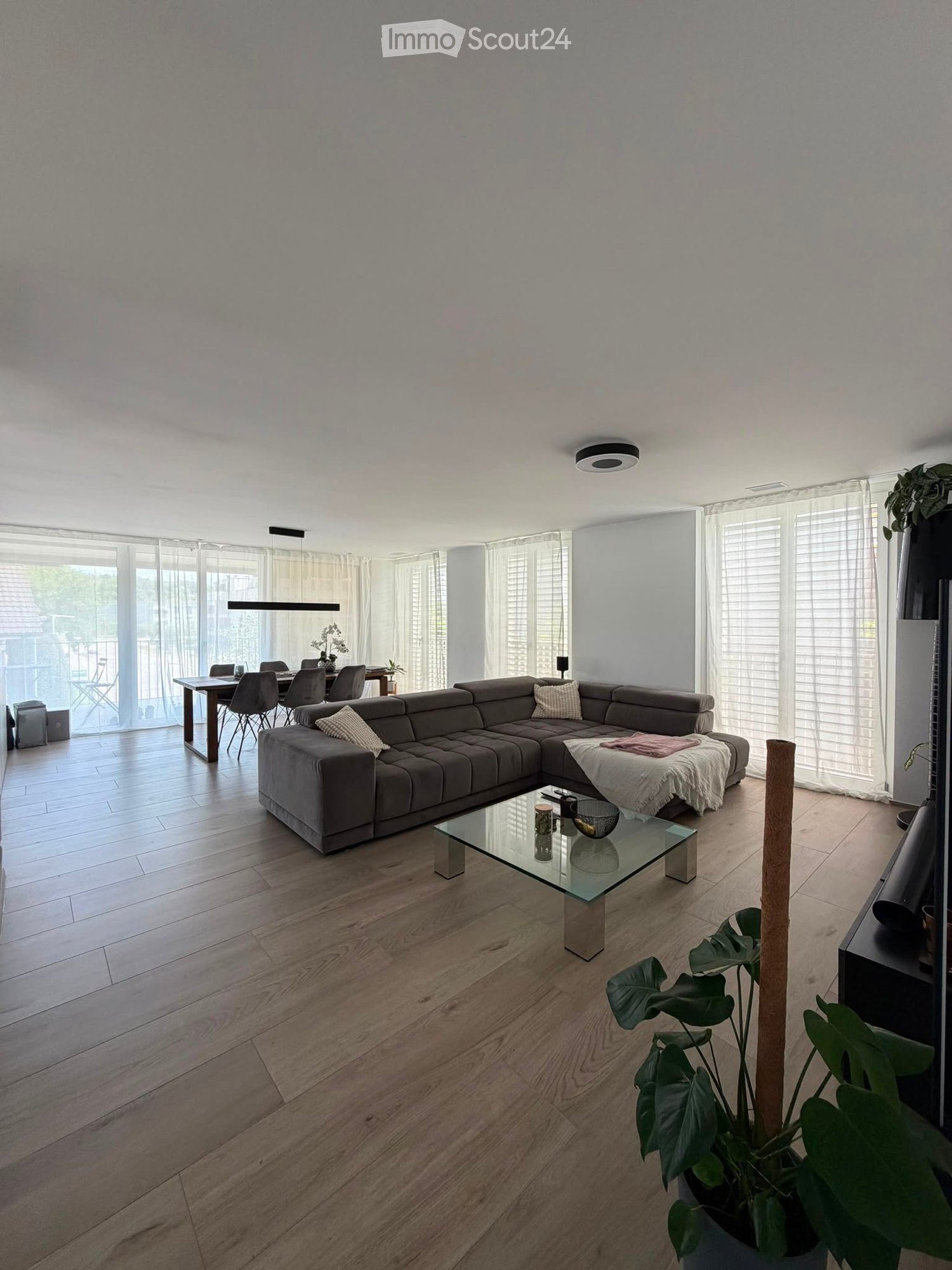 Modern living room with a grey sectional sofa, glass coffee table, dining area with chairs, and large windows with blinds.