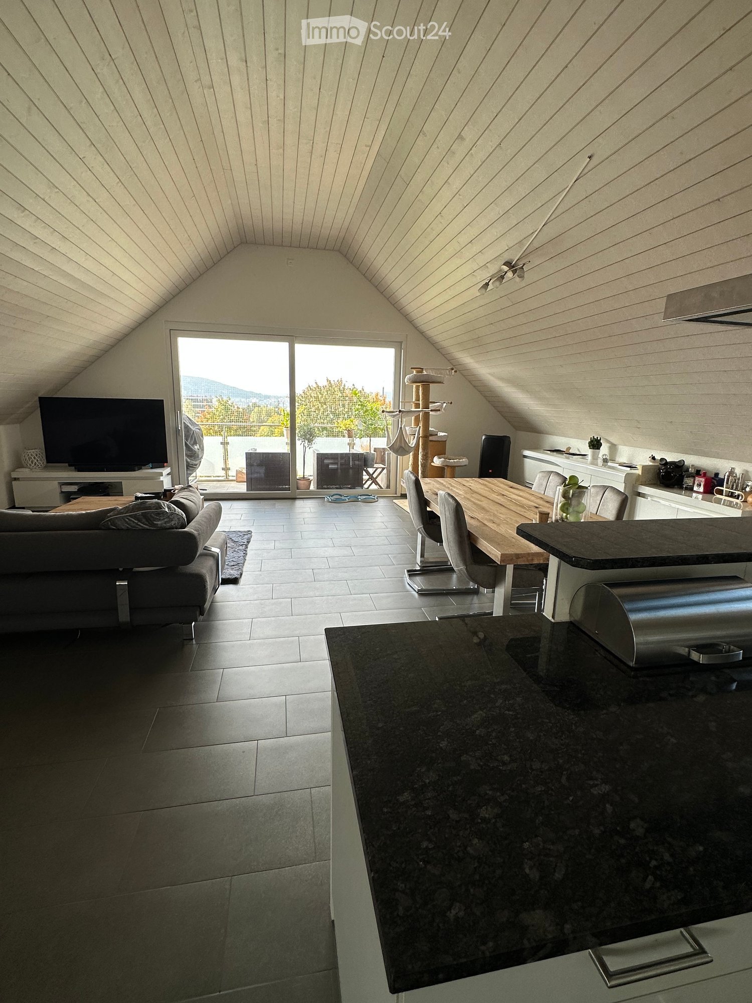 Open-plan living and dining area with a slanted wooden ceiling, large sliding glass doors leading to a balcony, a sofa, a dining table with chairs, a cat tree, and a modern kitchen island.