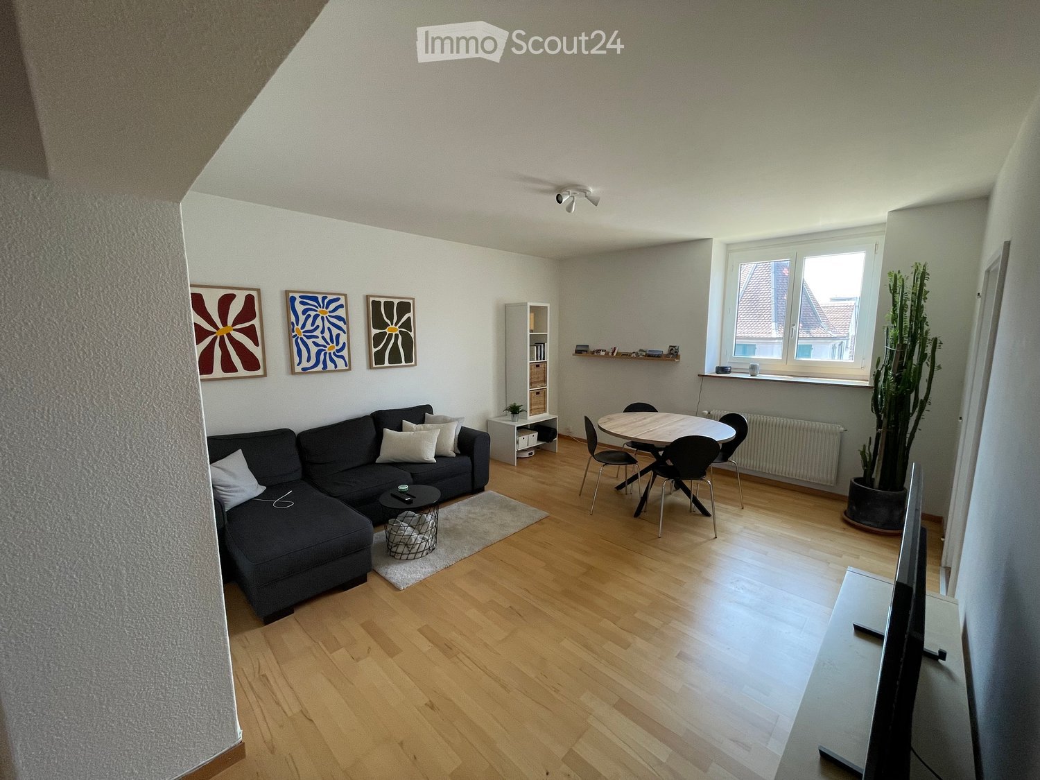 Living room with a dark grey sectional sofa, coffee table, dining table with chairs, shelf, and a large potted plant near the window.