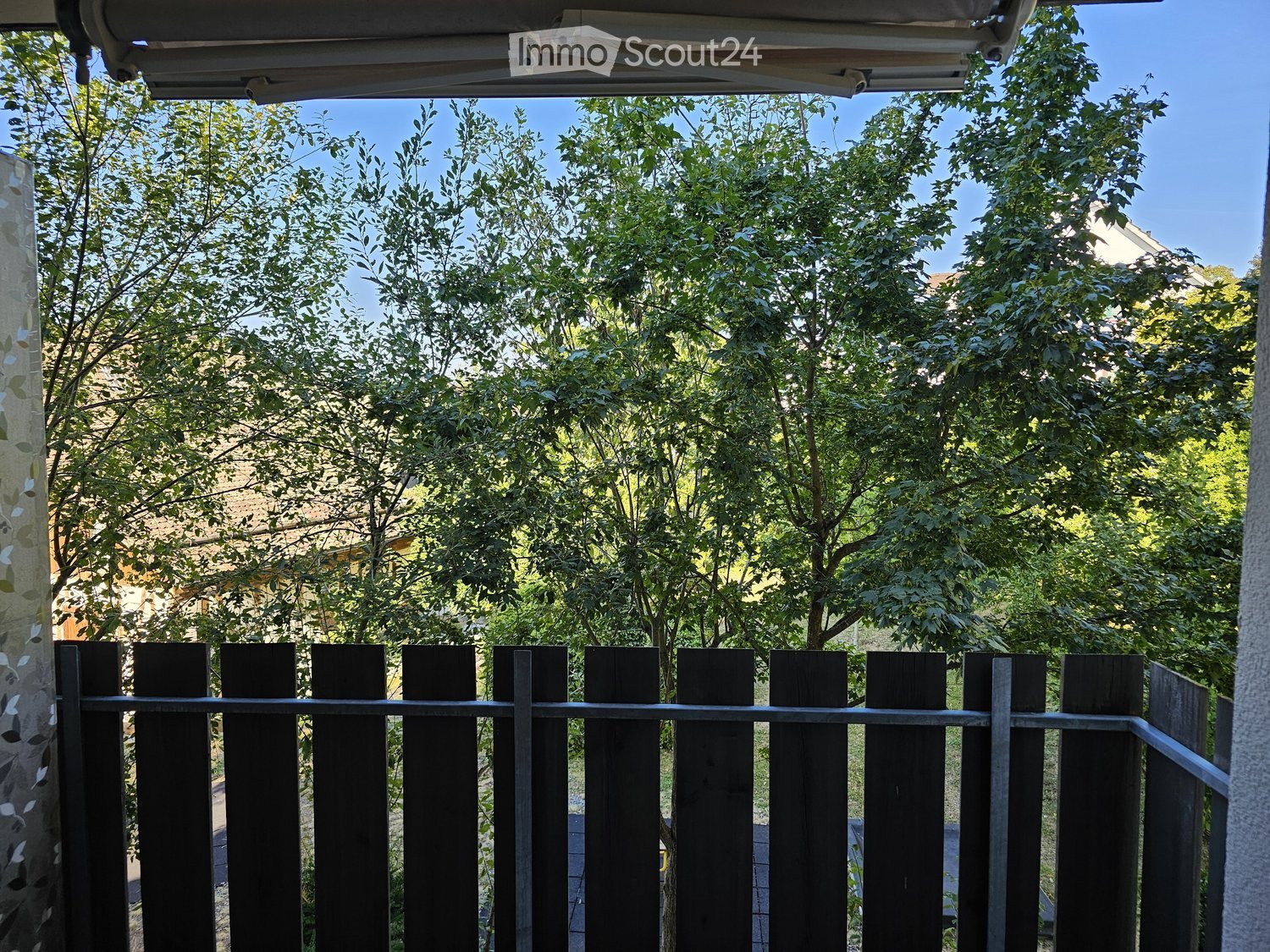 A view through a wooden fence shows a lush, green garden with tall trees and a clear blue sky above.