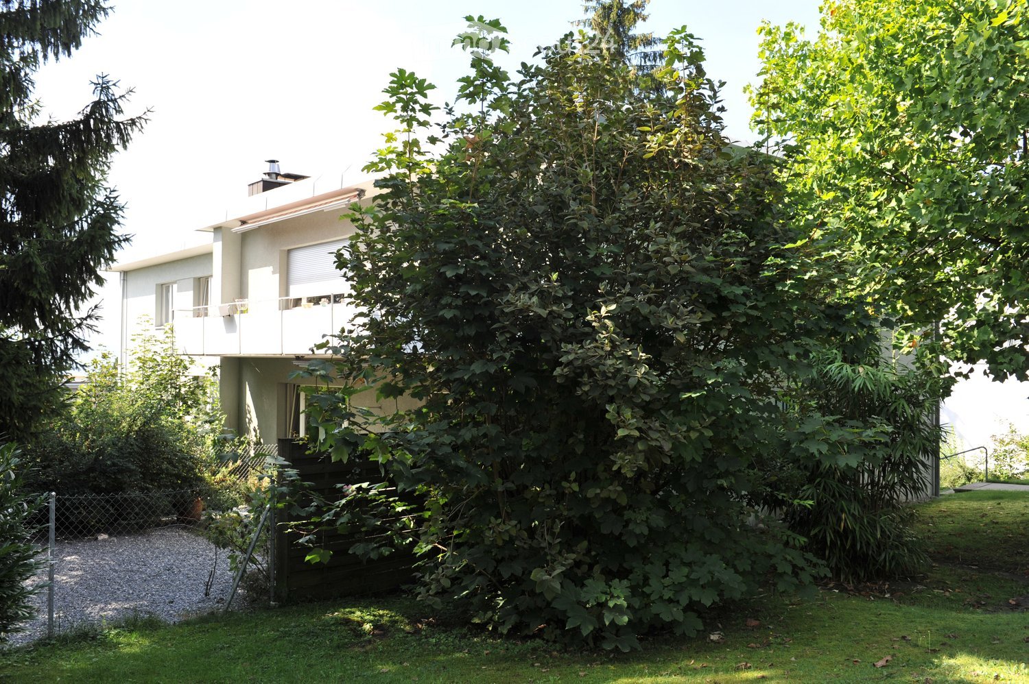2 story house with terrace, white walls, greenery around