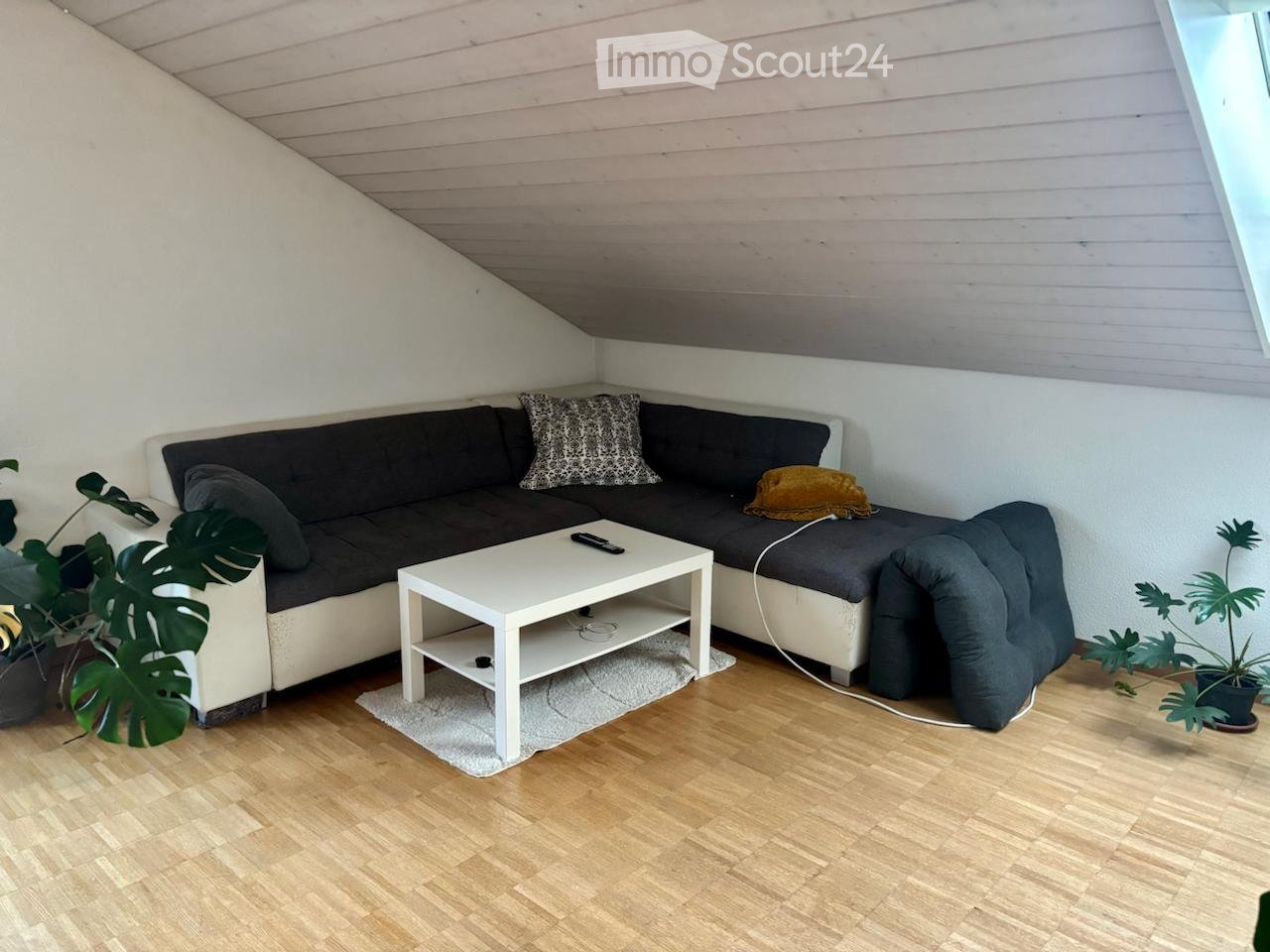 Modern living room with a dark grey sectional sofa, white coffee table, and potted plants on either side.