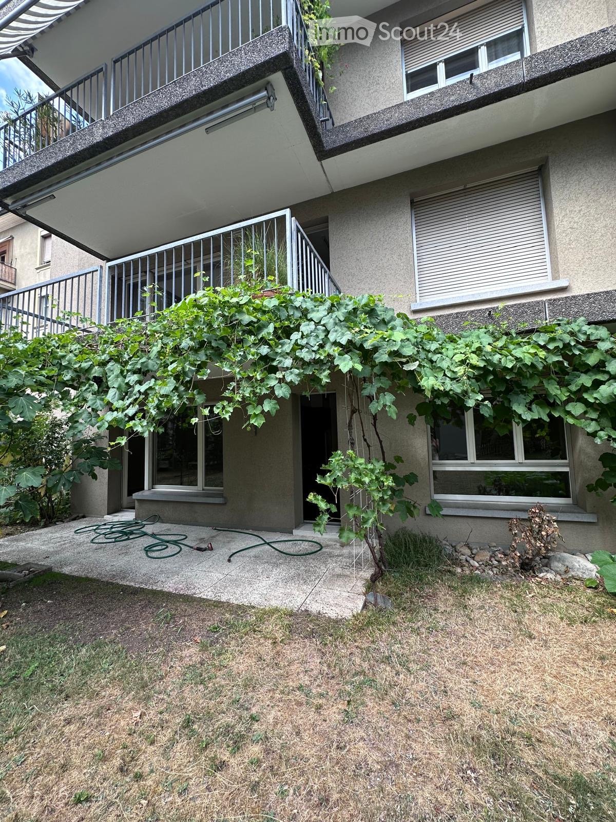 Garden area with a concrete patio, green vines climbing on the building, a metal railing, and a grassy lawn.