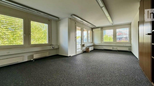 Empty room with large windows, carpeted floor, white walls, and radiators. No furniture or equipment present.