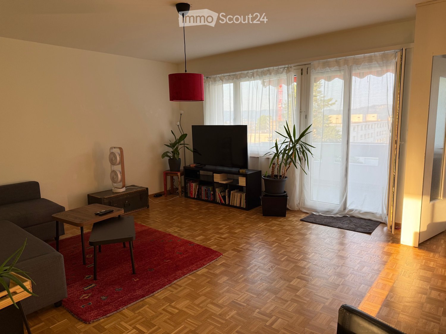 Modern living room with wooden flooring, a red rug, a grey sectional sofa, a wooden coffee table, a TV on a stand, and potted plants near large windows with sheer curtains.