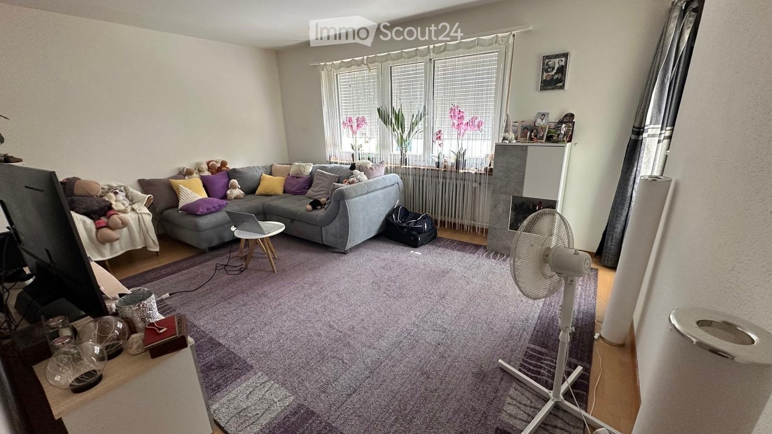A modern living room with a grey sectional sofa, colorful cushions, a laptop on a small table, a fan, a cat litter box, and a cat tree. The room features large windows with blinds, a fireplace, and a purple rug.