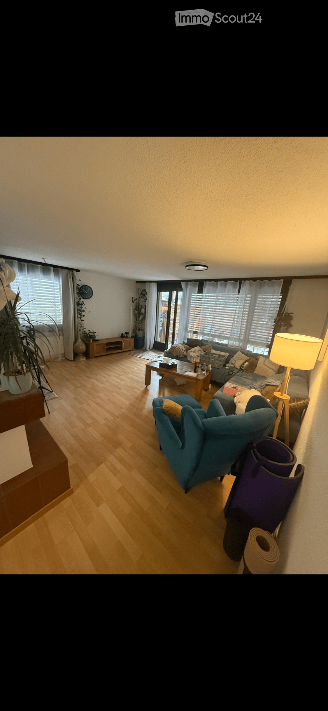 Modern living room with wooden flooring, large windows with blinds, a grey sofa, a blue armchair, a coffee table, a floor lamp, and decorative plants.