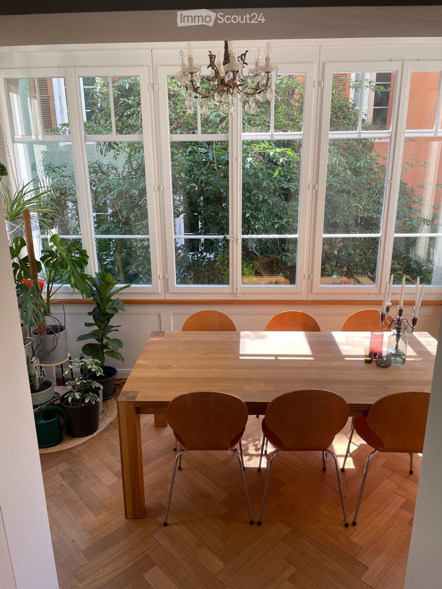 Brightly lit dining room with large windows, wooden dining table, six chairs, candle holder with candles, and several potted plants.