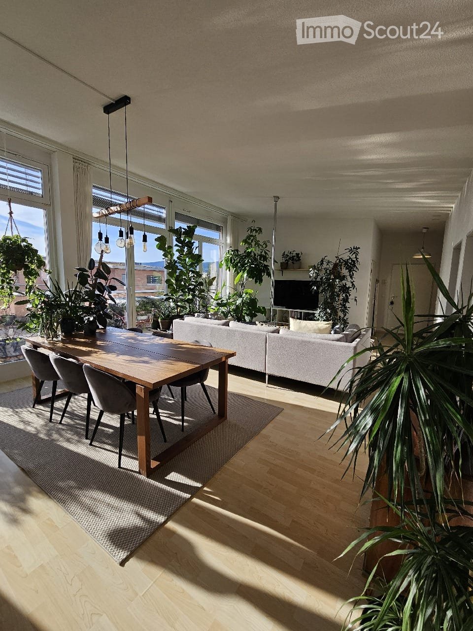 Bright, open living and dining area with large windows, wooden flooring, a white sofa, a wooden dining table with chairs, and several potted plants.