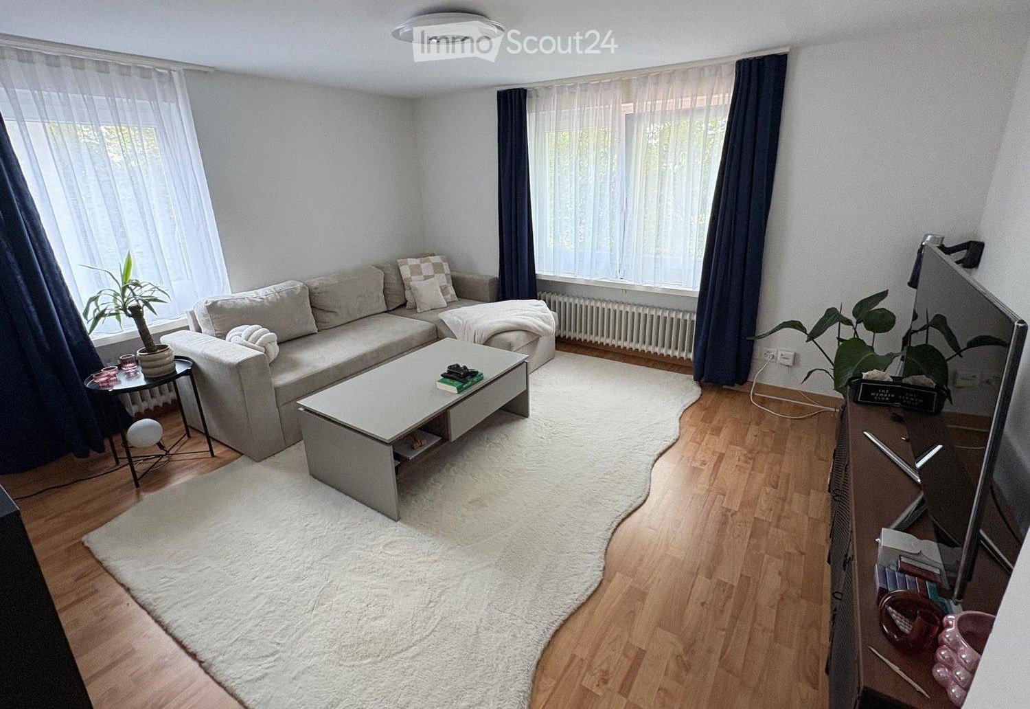 Modern living room with light grey sofa, coffee table, side table, and TV stand. Features wooden flooring, white shag rug, and large windows with sheer curtains.