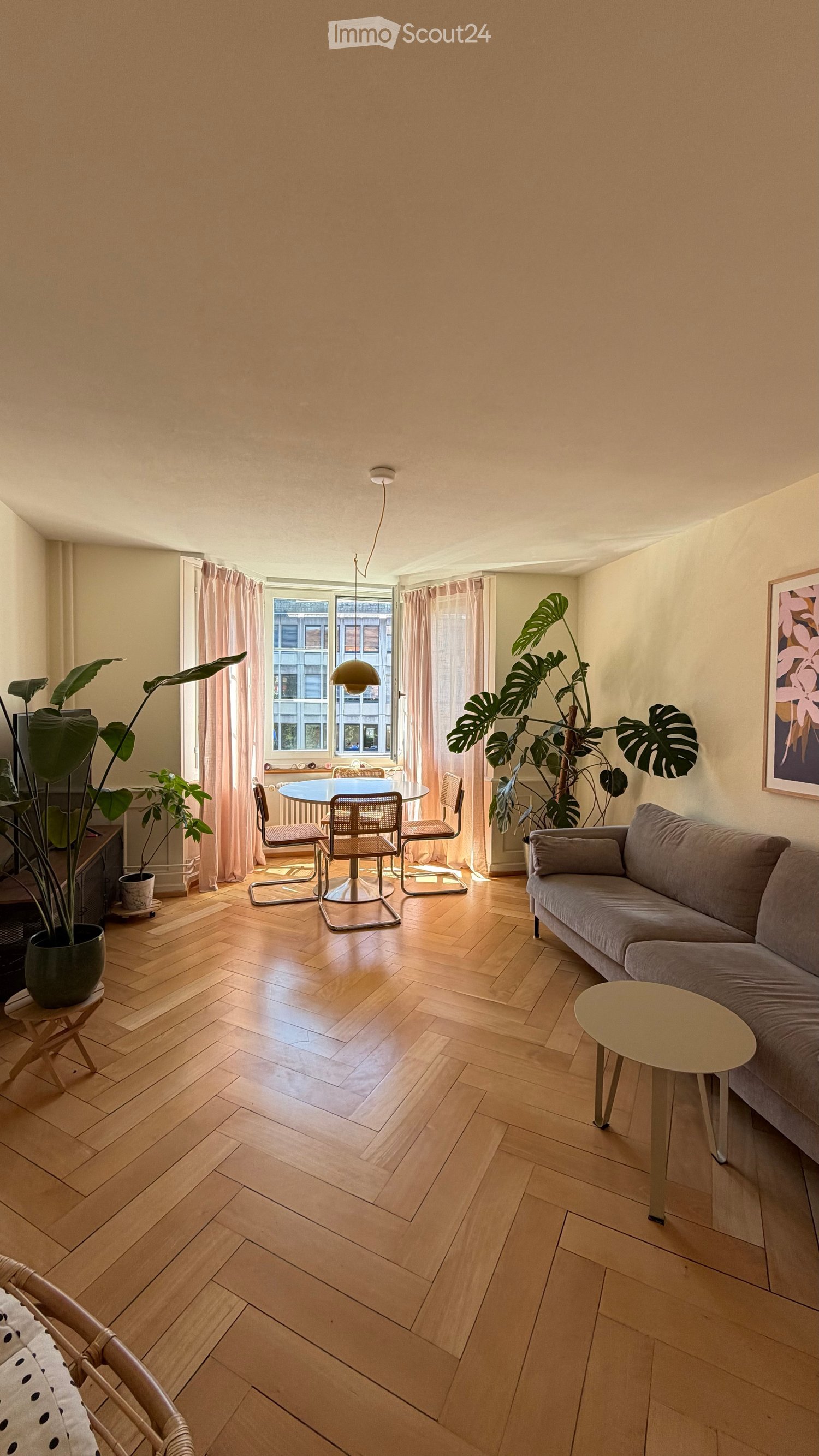 Open-plan living and dining area with wooden herringbone flooring, a grey sofa, a coffee table, a dining table with chairs, and potted plants.