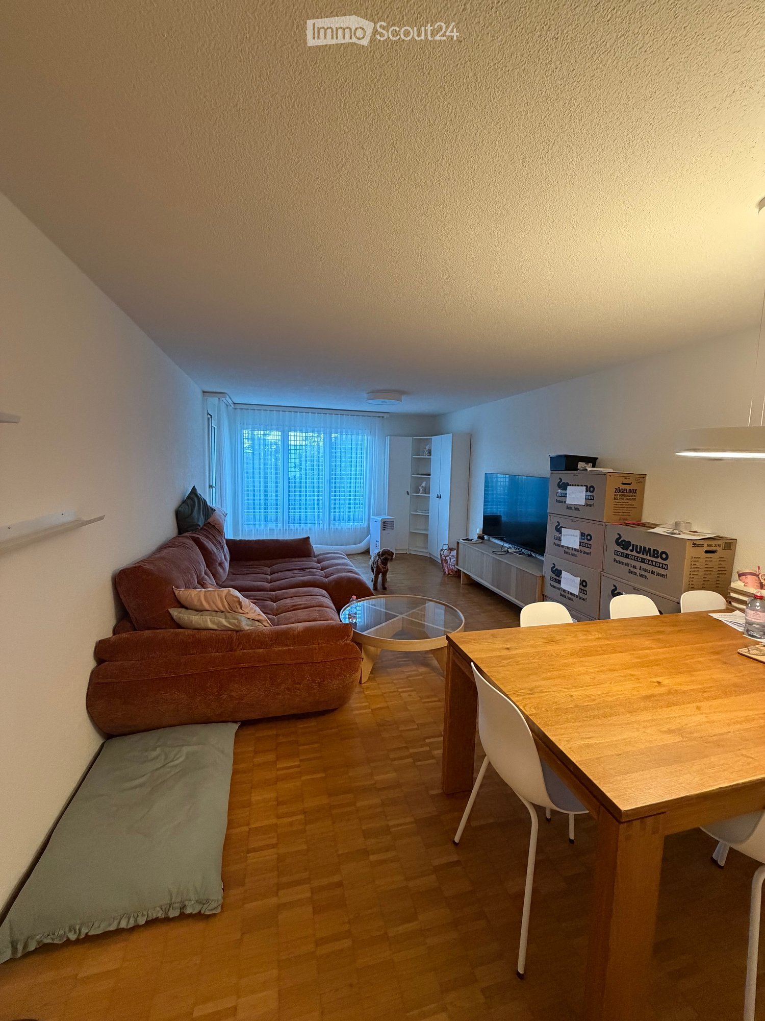 A modern living room with a brown sectional sofa, a glass coffee table, a wooden dining table with white chairs, and a TV stand with a screen. The room features wooden flooring and large windows with white curtains.