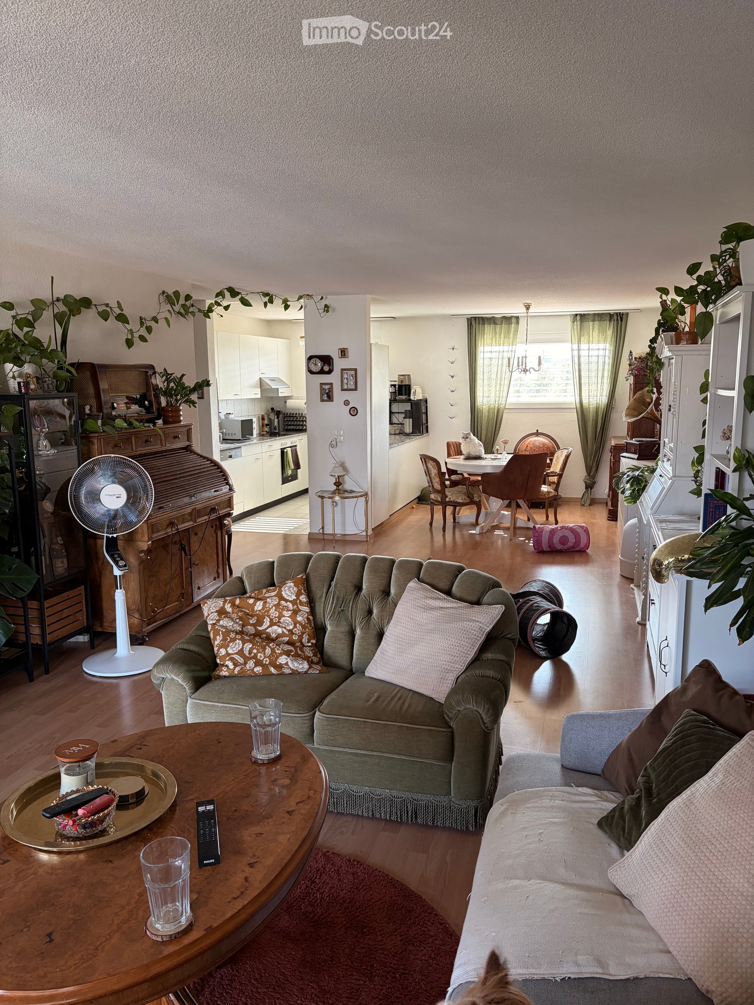 A cozy living room with a green sofa, coffee table, and a fan. The room is connected to a dining area with a table and chairs, and a kitchen with white cabinets and appliances.