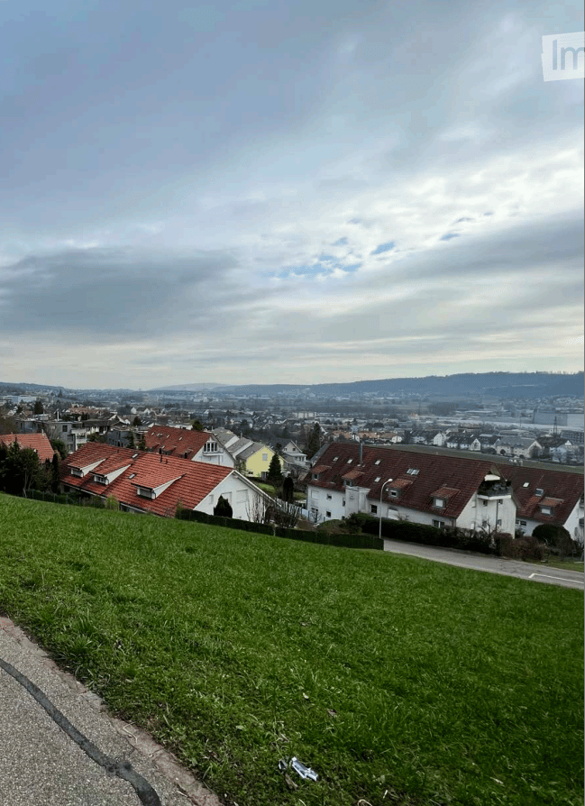 grass lawn, houses in the distance, cloudy sky