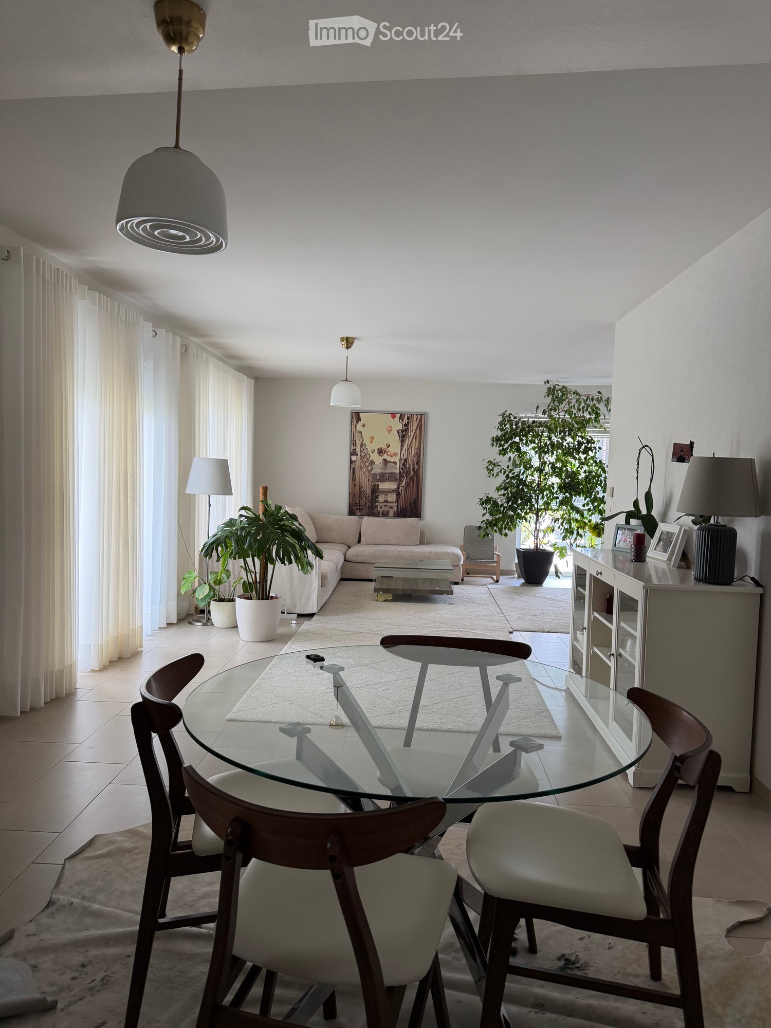 Modern living and dining area with a sofa, coffee table, glass dining table with chairs, plants, and lamps.