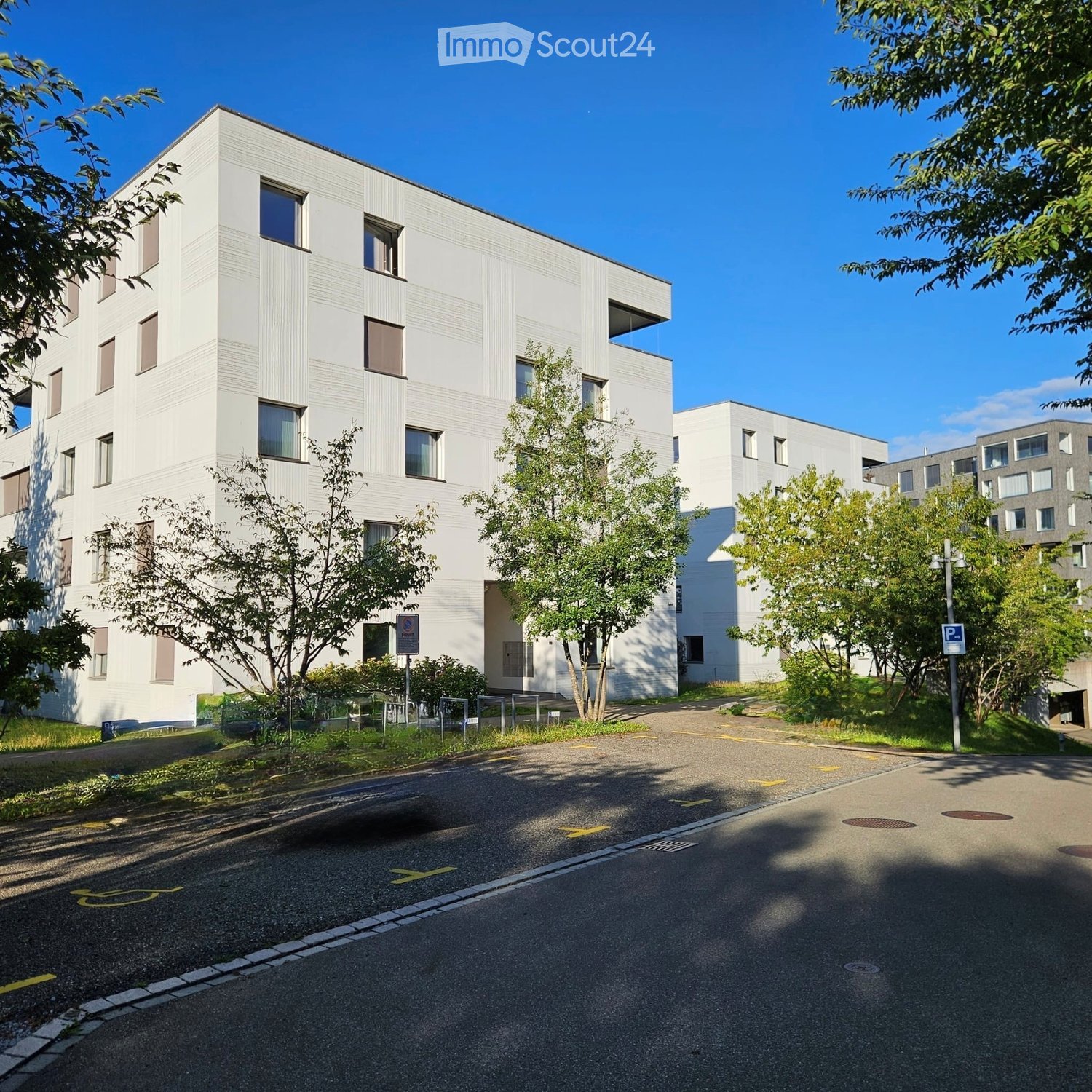 Modern multi-story building with white facade and large windows, surrounded by trees and a paved driveway.