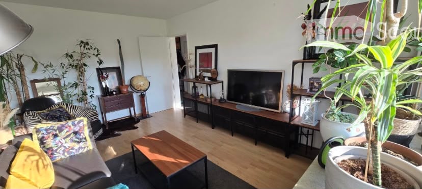 Bright living room with wooden flooring, a grey sofa with colorful cushions, a wooden coffee table, a flat-screen TV on a wooden stand, side tables with decorative items, and several potted plants adding greenery.