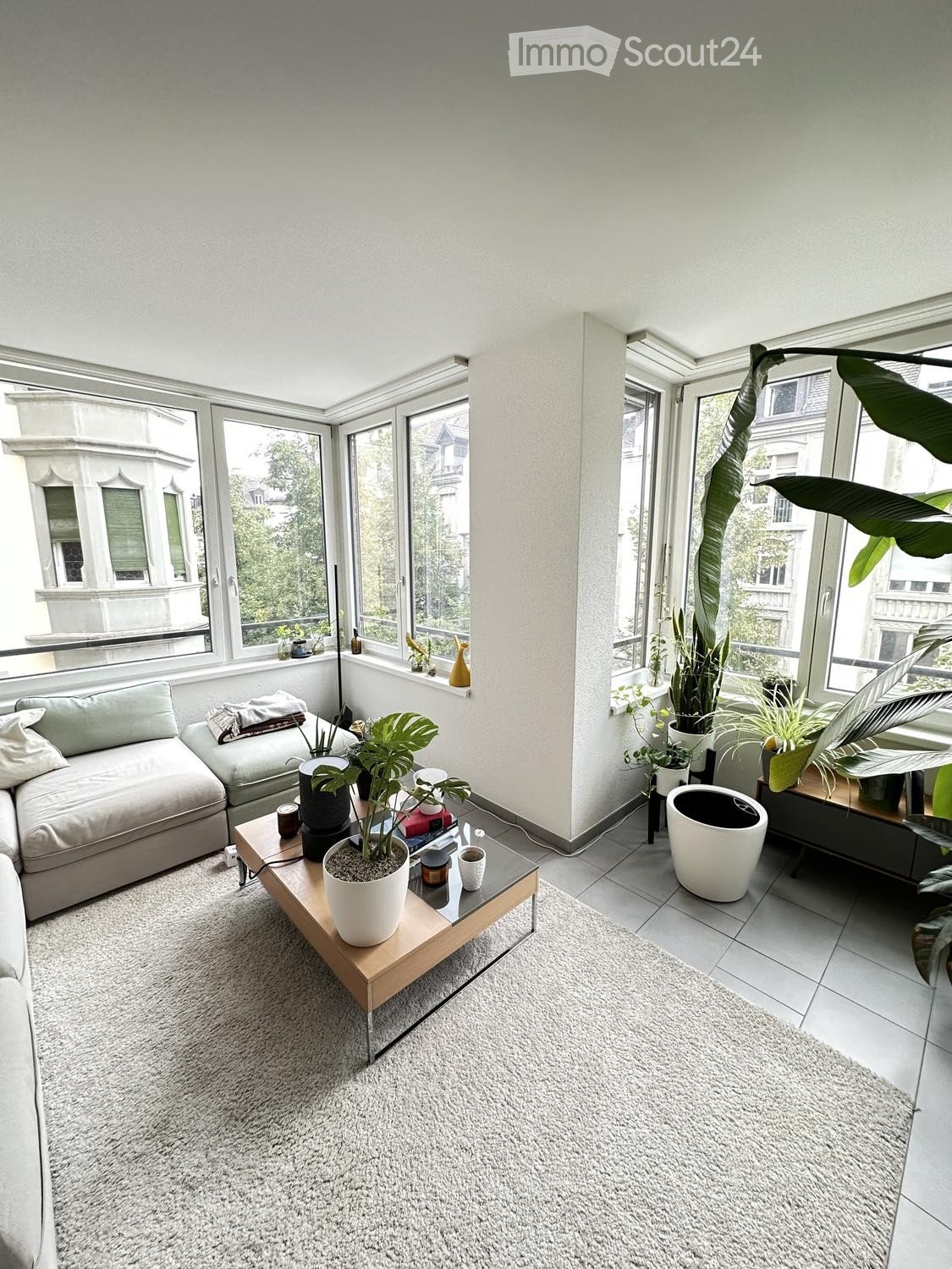 Bright living room with large windows, a grey sectional sofa, a wooden coffee table with potted plants, and a shaggy white rug.