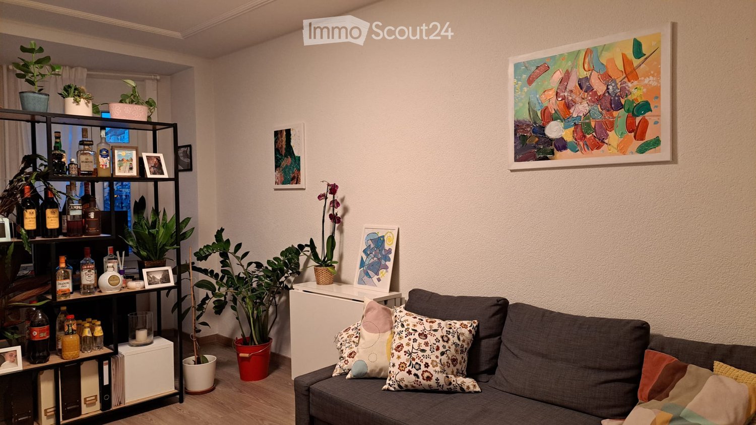 A cozy living room with a grey sofa adorned with colorful pillows, a black shelving unit holding bottles and potted plants, and several framed artworks on the walls.
