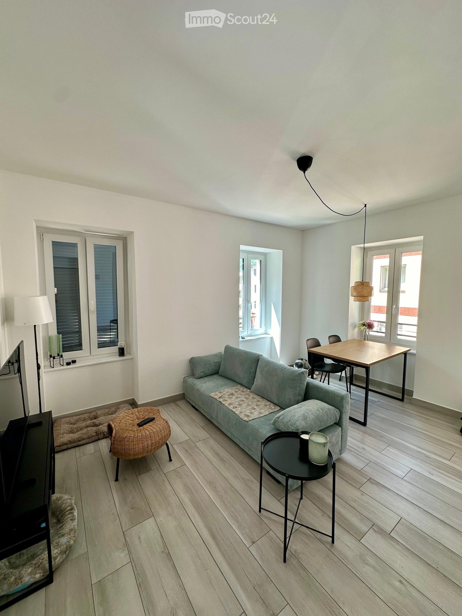 Modern living room with light wooden flooring, white walls, and large windows. Features a green sofa, wicker chair, coffee table, dining table with chairs, and a television. Includes a dog bed and decorative items.