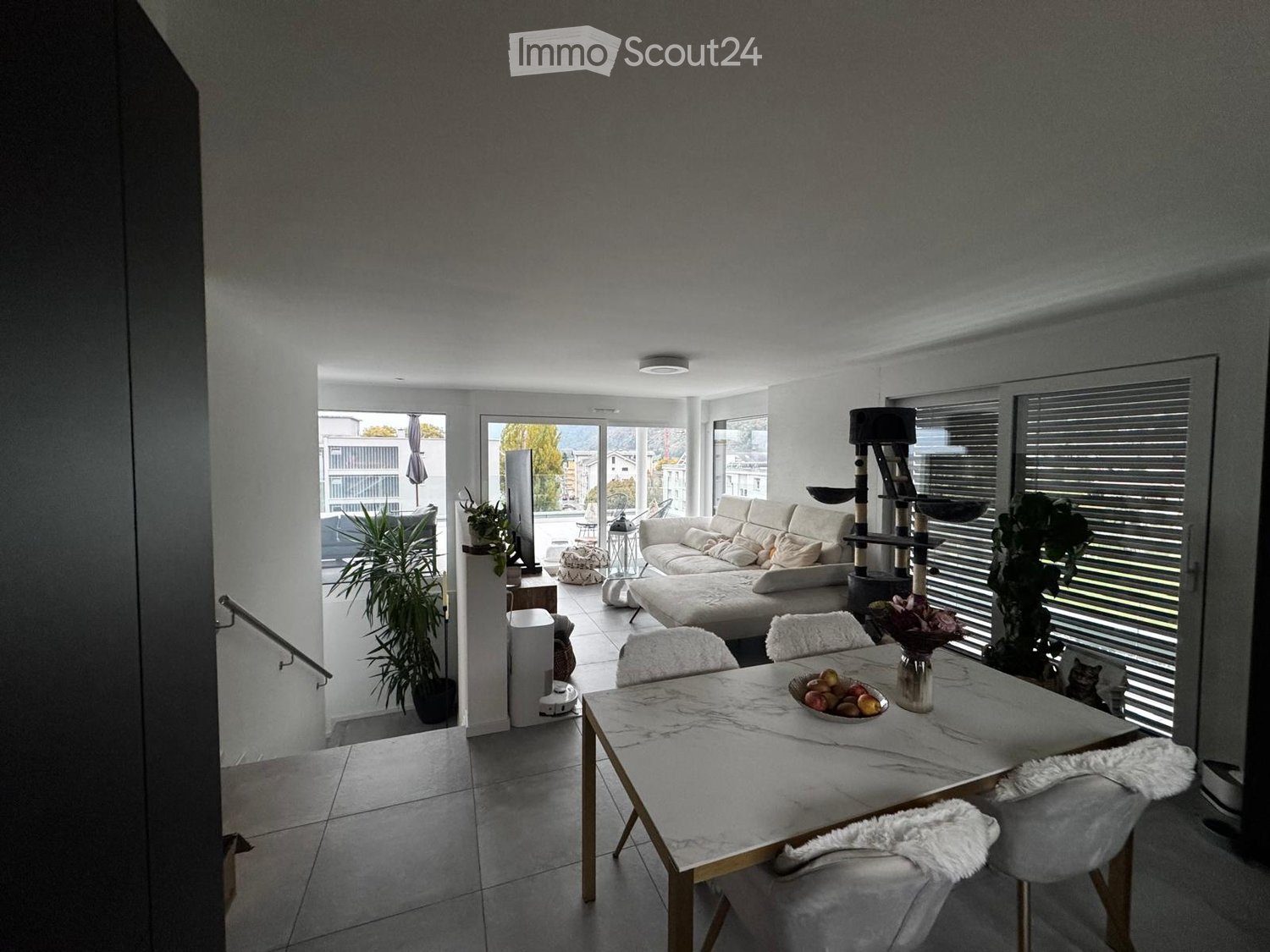Modern living and dining area with white walls, large windows, a white sofa, a marble dining table with chairs, a cat tree, and decorative plants.