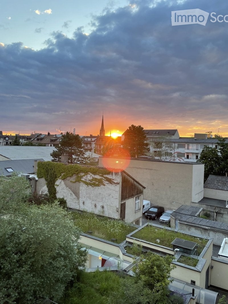 A rooftop garden with green grass, small trees, and a wooden shed. The sun is setting behind a church spire in the distance.