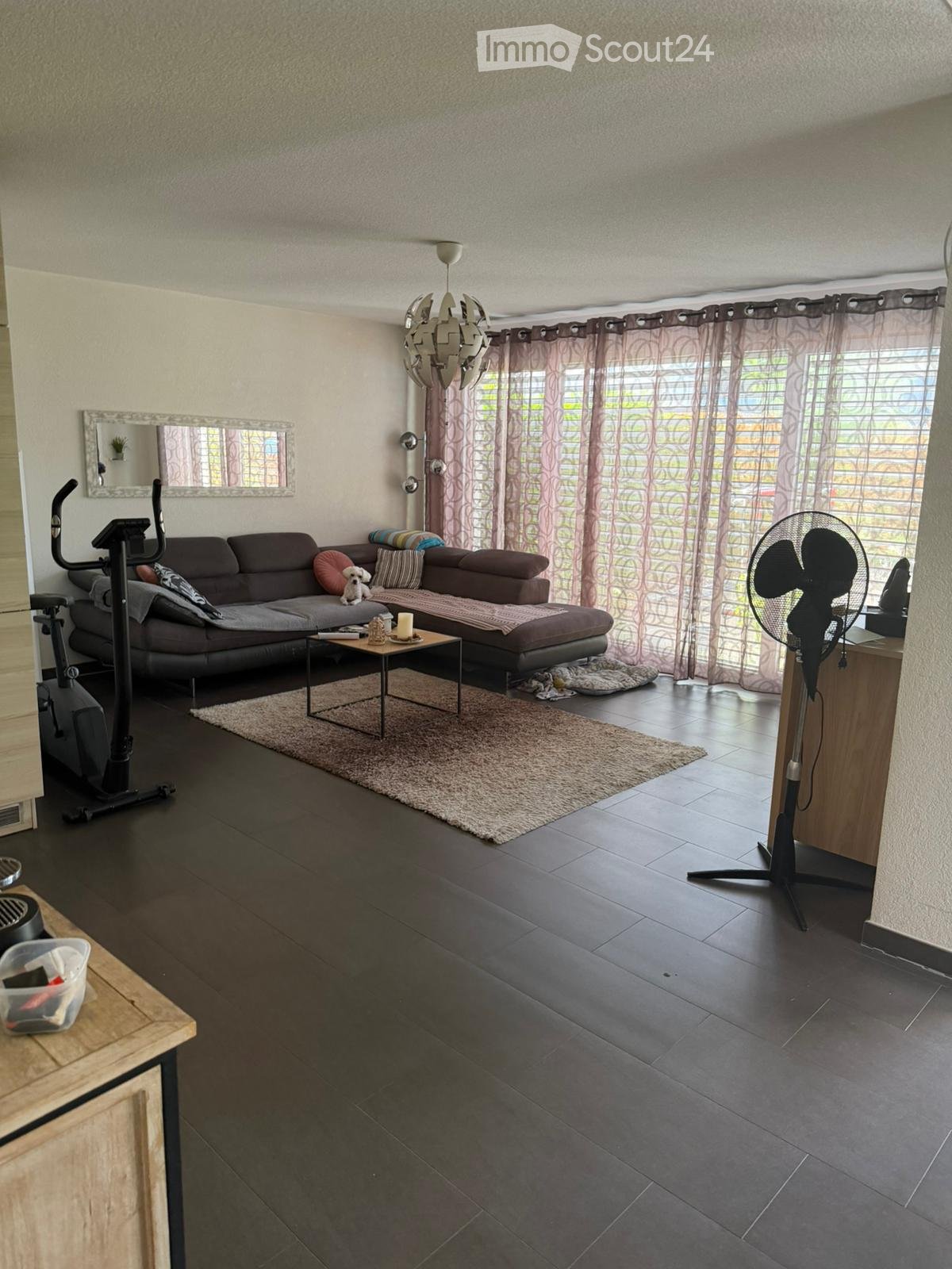 Modern living room with dark wooden flooring, a grey sectional sofa, a small coffee table, a standing fan, a mirror, and an exercise bike in the corner.