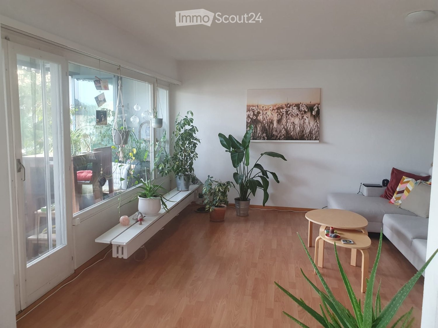 Bright living room with wooden flooring, large windows, white sofa, coffee table, and several potted plants. A bench sits beneath the windows, and a picture frame hangs on the wall.