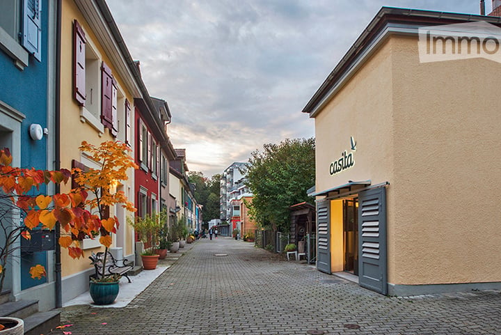 A charming cobblestone street lined with colorful buildings, featuring potted plants and trees, with a shop named "castia" visible on the right.