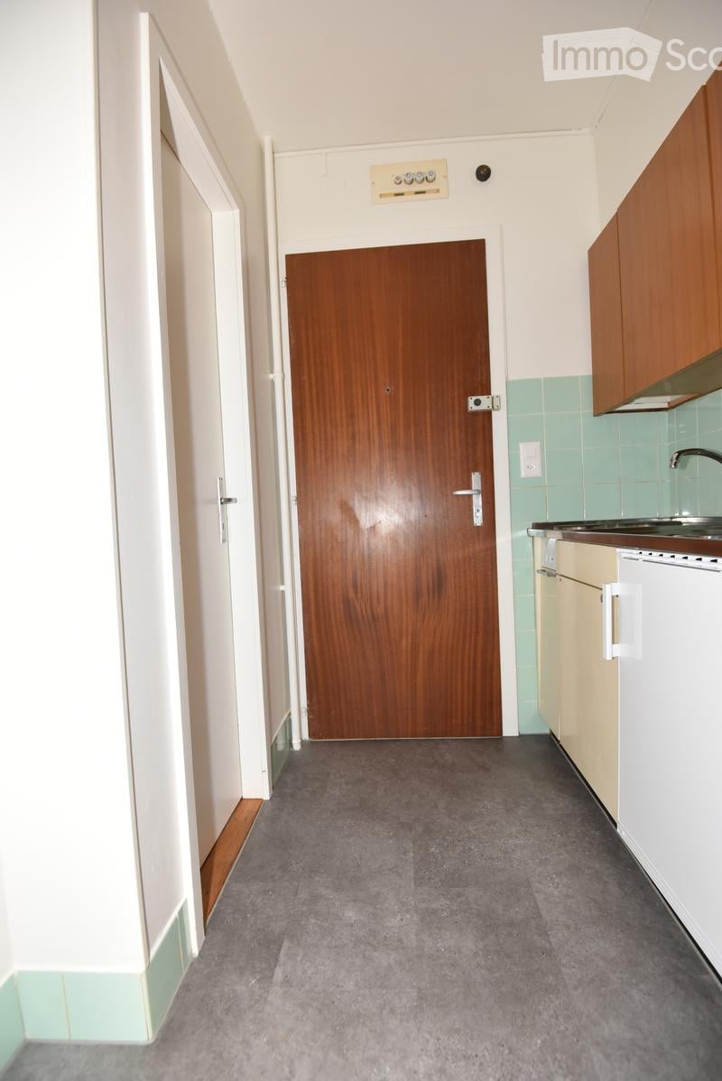A narrow hallway with grey carpeted flooring, light-colored walls, and a wooden door at the end. A small kitchen area is visible on the right with light-colored cabinets, a sink, and a faucet.