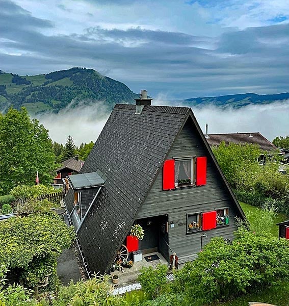 A charming, dark green wooden house with a steep, dark roof and red shutters, surrounded by lush greenery and offering a scenic mountain view.