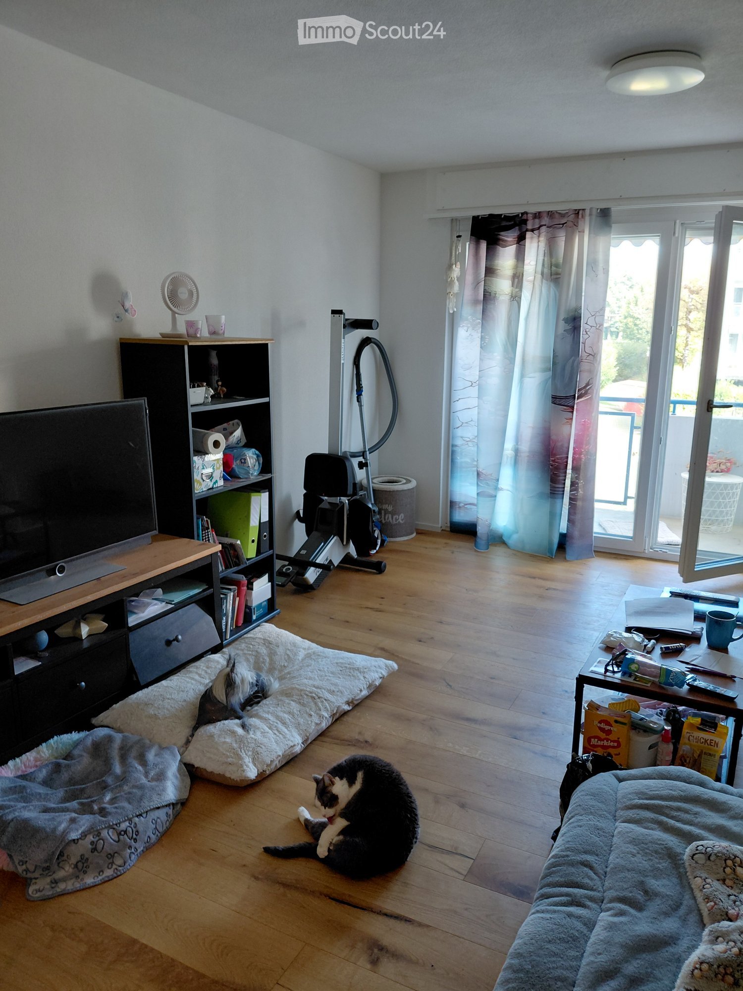{"type": "Furnished Room", "objects": ["table", "cup", "cat", "cat bed", "shelf", "fan", "screen", "drawer", "bottle", "cupboard", "bottle", "bottle", "bottle", "bottle", "bottle", "bottle", "bottle", "bottle", "bottle", "bottle", "bottle", "bottle", "bot