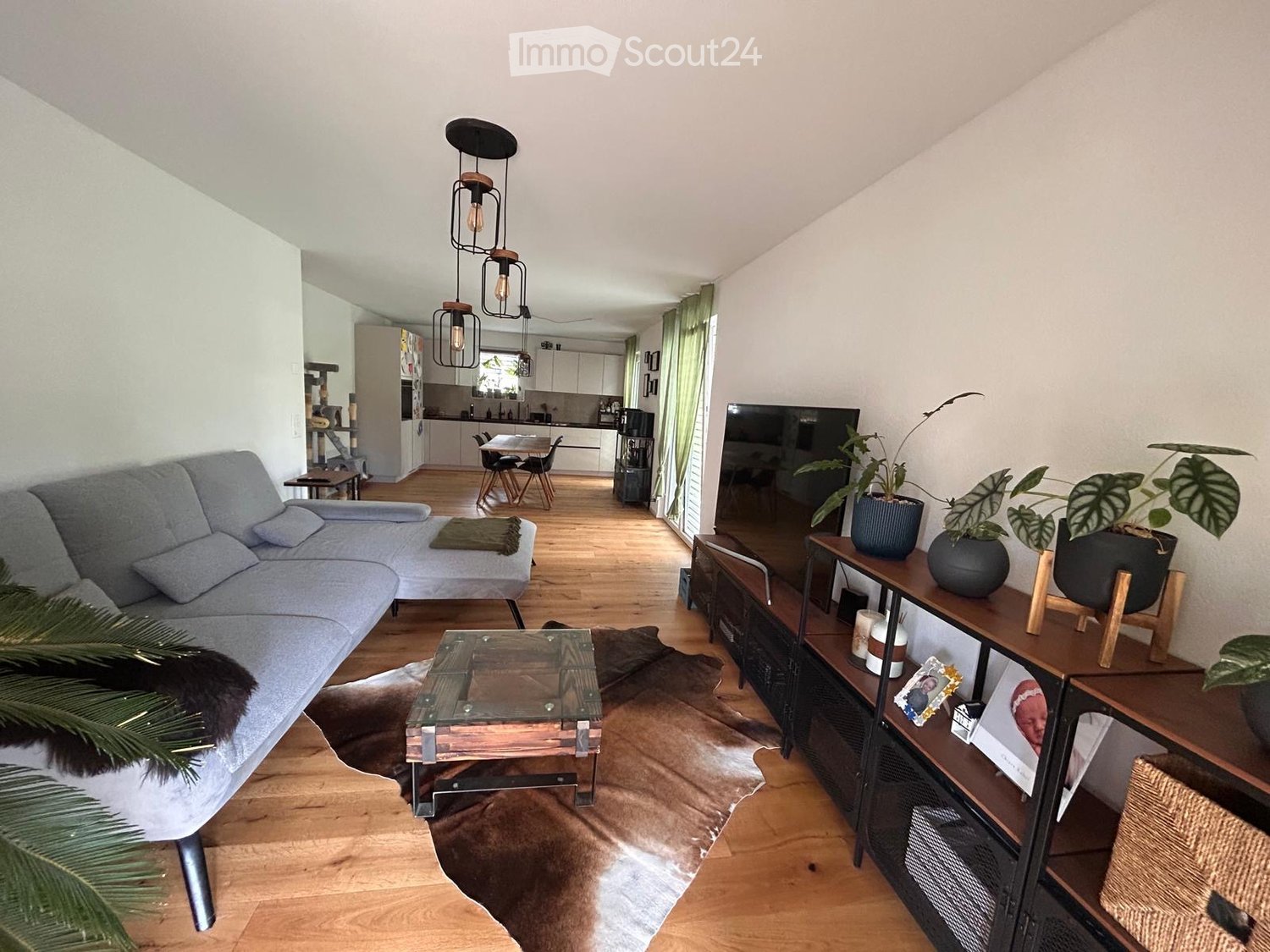Modern living room with a grey sectional sofa, glass coffee table, TV stand, potted plants, and a dining area visible in the background.