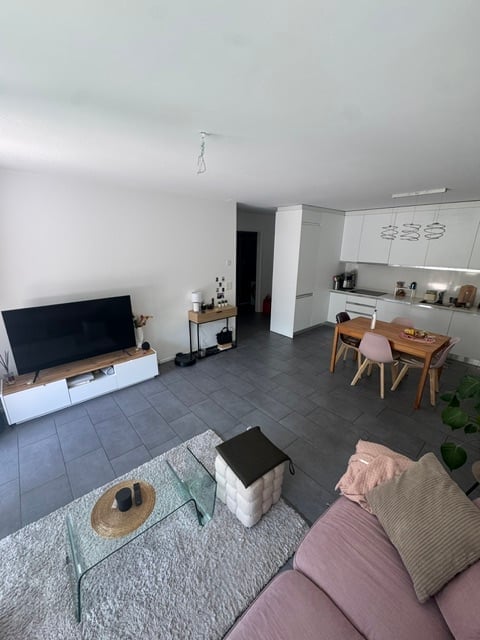 Open-plan living and dining area with modern furniture, including a sofa, coffee table, TV stand, dining table with chairs, and a small kitchen area with cabinets and appliances.