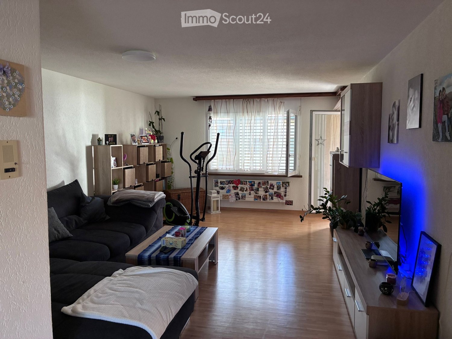 Modern living room with a dark grey sectional sofa, wooden coffee table, TV stand, exercise bike, shelves, and decorative plants.