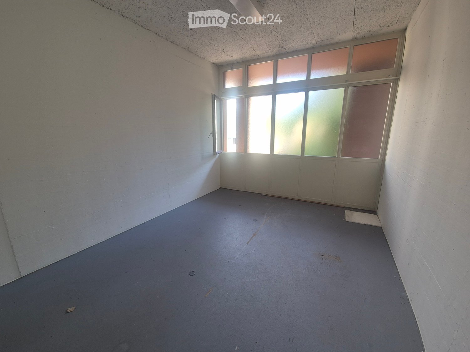 Empty room with bare walls and a grey floor, featuring a large window with frosted glass panels and a door leading outside.