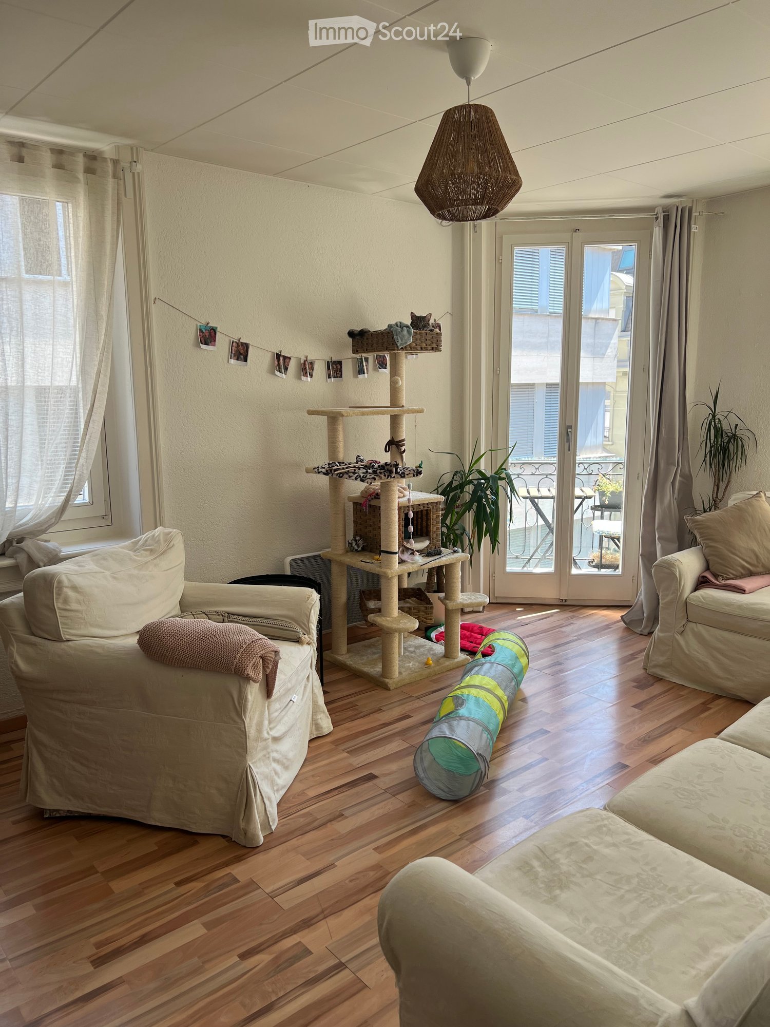 A cozy living room with wooden flooring, a cat tree, a cat tunnel, a sofa, and a balcony with outdoor furniture visible through the glass doors.