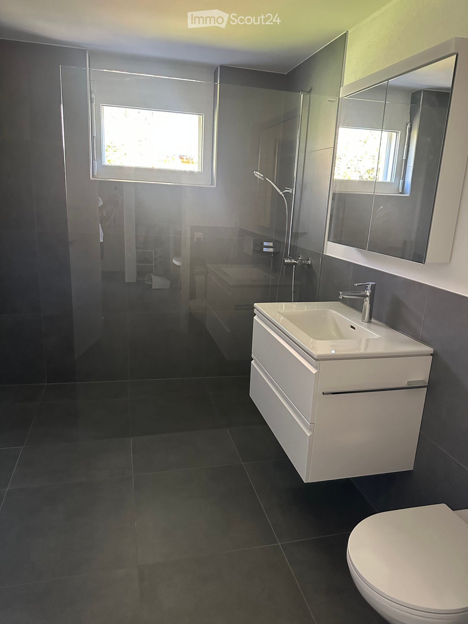 Modern bathroom with dark tiled walls and floor, white sink with faucet, large mirror, toilet, and bathtub visible through glass shower enclosure.