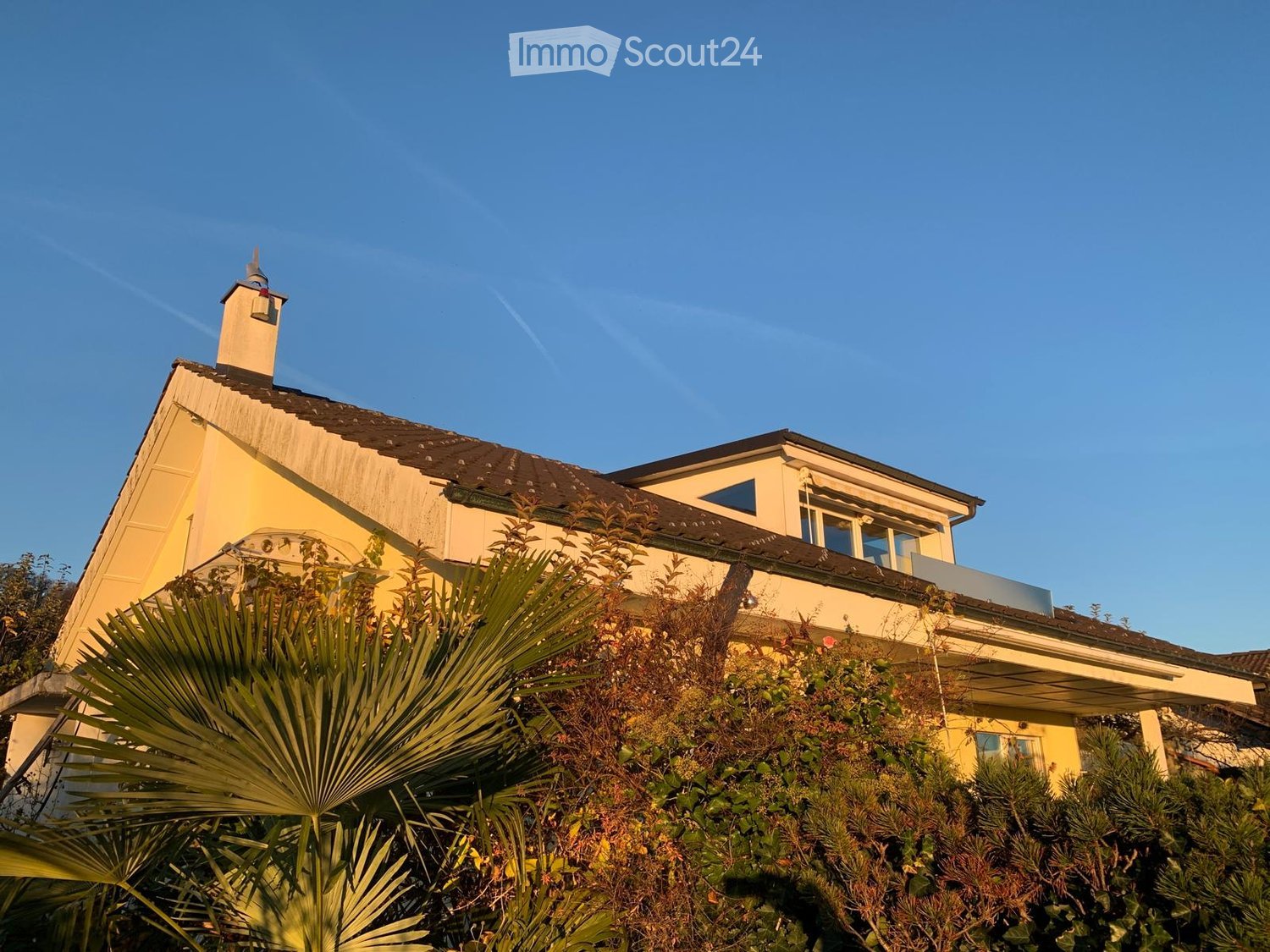 Two-story yellow house with a chimney, surrounded by greenery and palm-like plants.