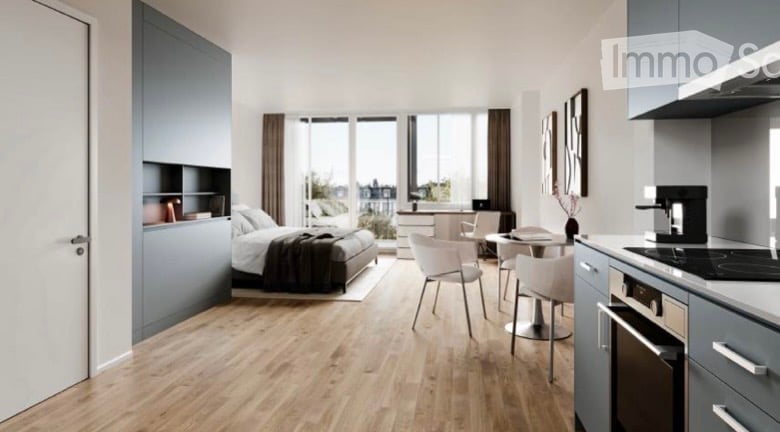 open layout with bedroom, dining area, kitchen, and large windows, balcony