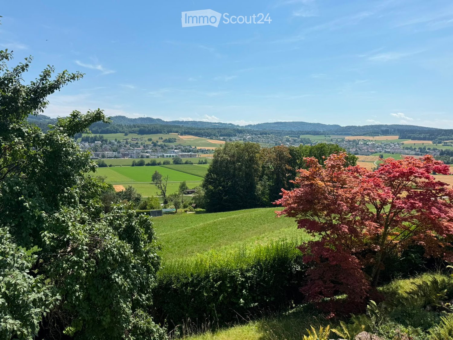 A panoramic view of a lush green landscape with fields, trees, and a distant town under a clear blue sky.