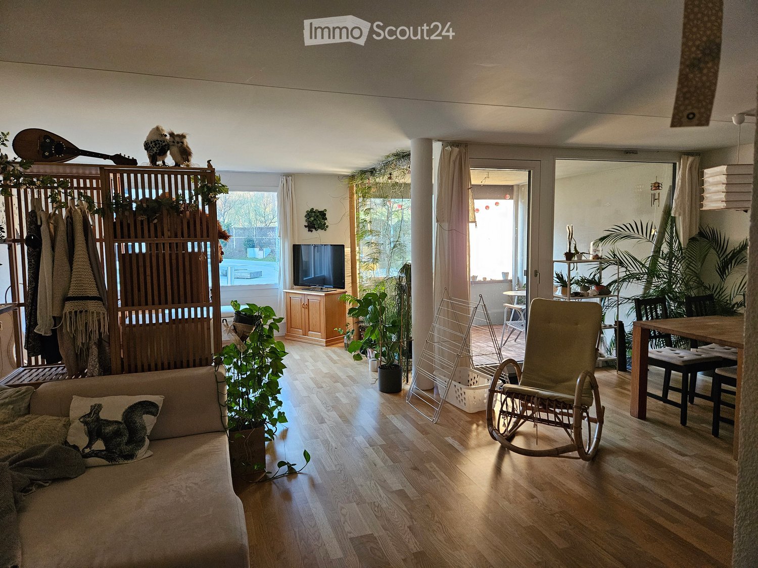 A cozy living room with wooden flooring, a sofa with a squirrel pillow, a television on a wooden stand, a dining table with chairs, a rocking chair, and several potted plants. There is also a drying rack and a curtained doorway leading to another room.