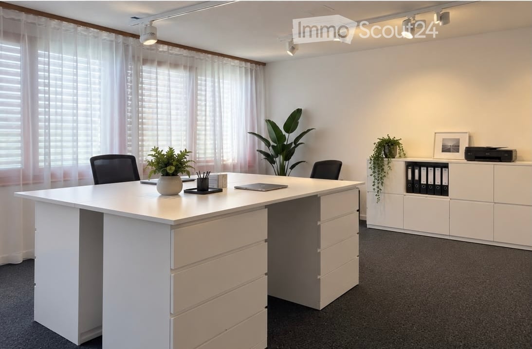 Modern office space with a large desk, two ergonomic chairs, dual computer monitors, potted plants, and a white cabinet.