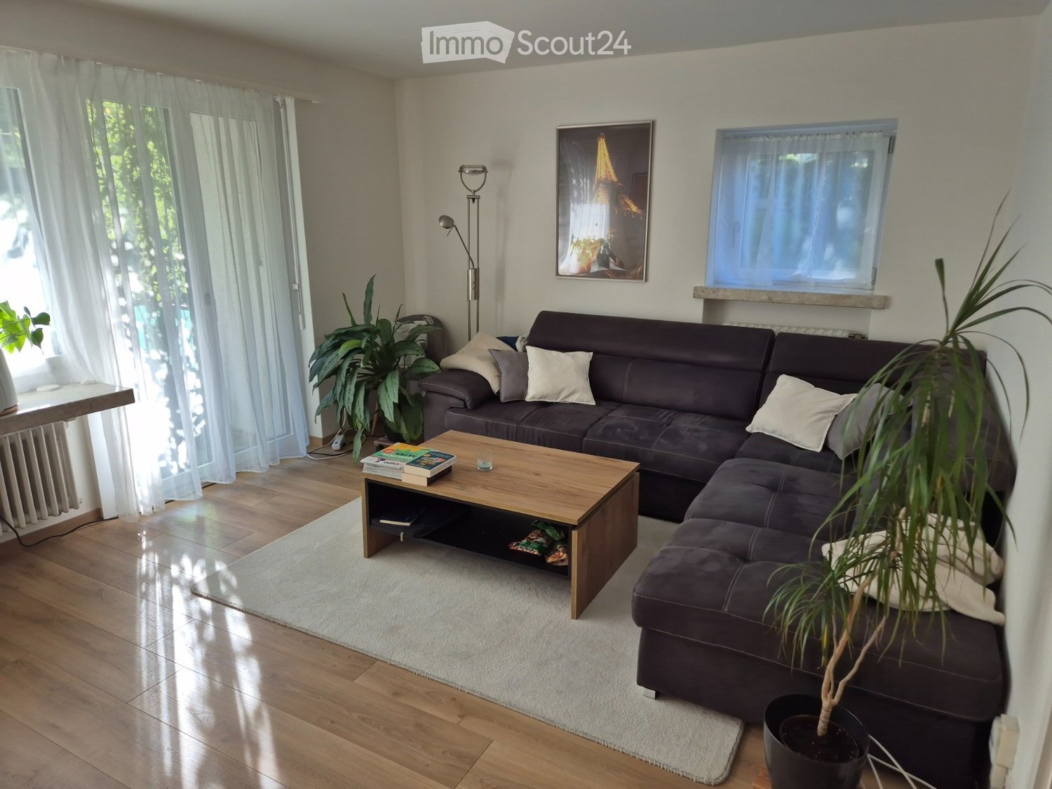 Modern living room with a dark grey sectional sofa, wooden coffee table, floor lamp, and potted plants. Large windows with sheer curtains allow natural light to fill the space.